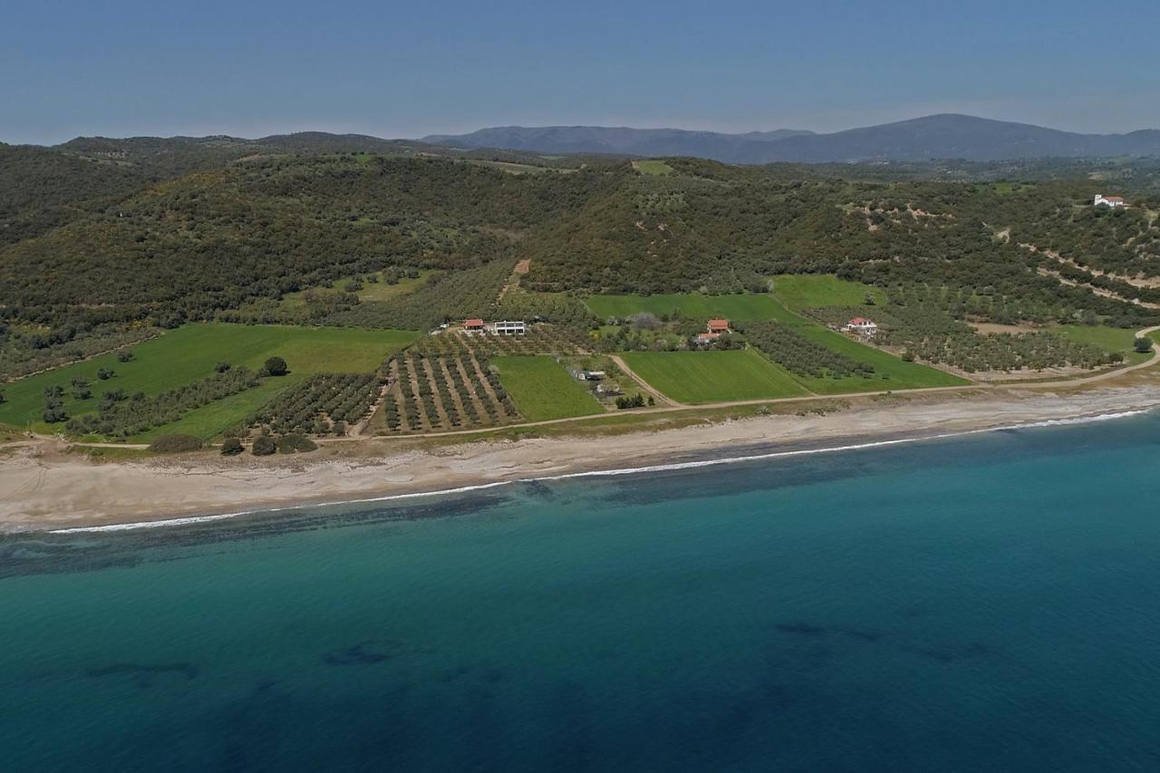 Casa Del Olivar Develikia ภายนอก รูปภาพ