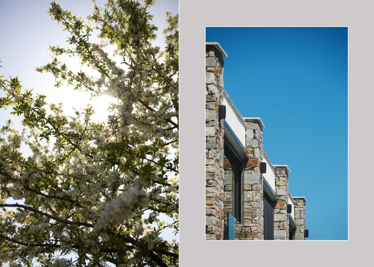 Casa Del Olivar Develikia ภายนอก รูปภาพ