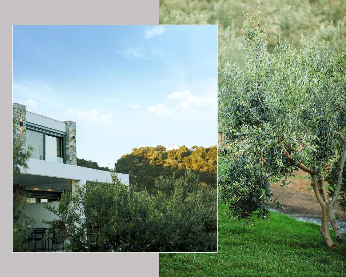 Casa Del Olivar Develikia ภายนอก รูปภาพ