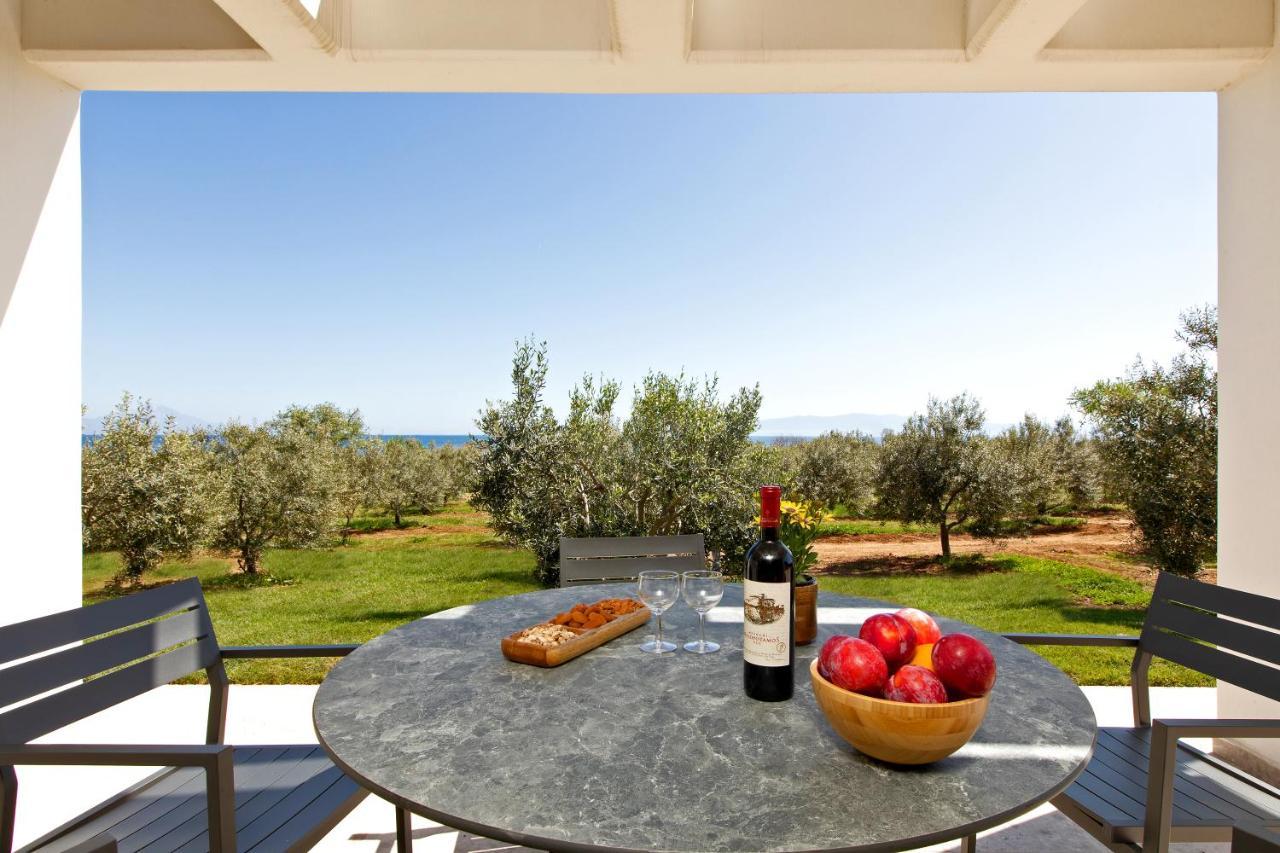 Casa Del Olivar Develikia ภายนอก รูปภาพ